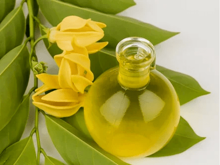 Aromterapija, lai uzlabotu potenci